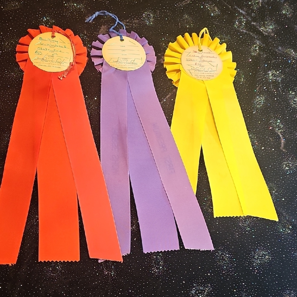 3 original from 1965 1967 NM Albuquerque State Fair Horse Show ribbons rosettes - Picture 12 of 13